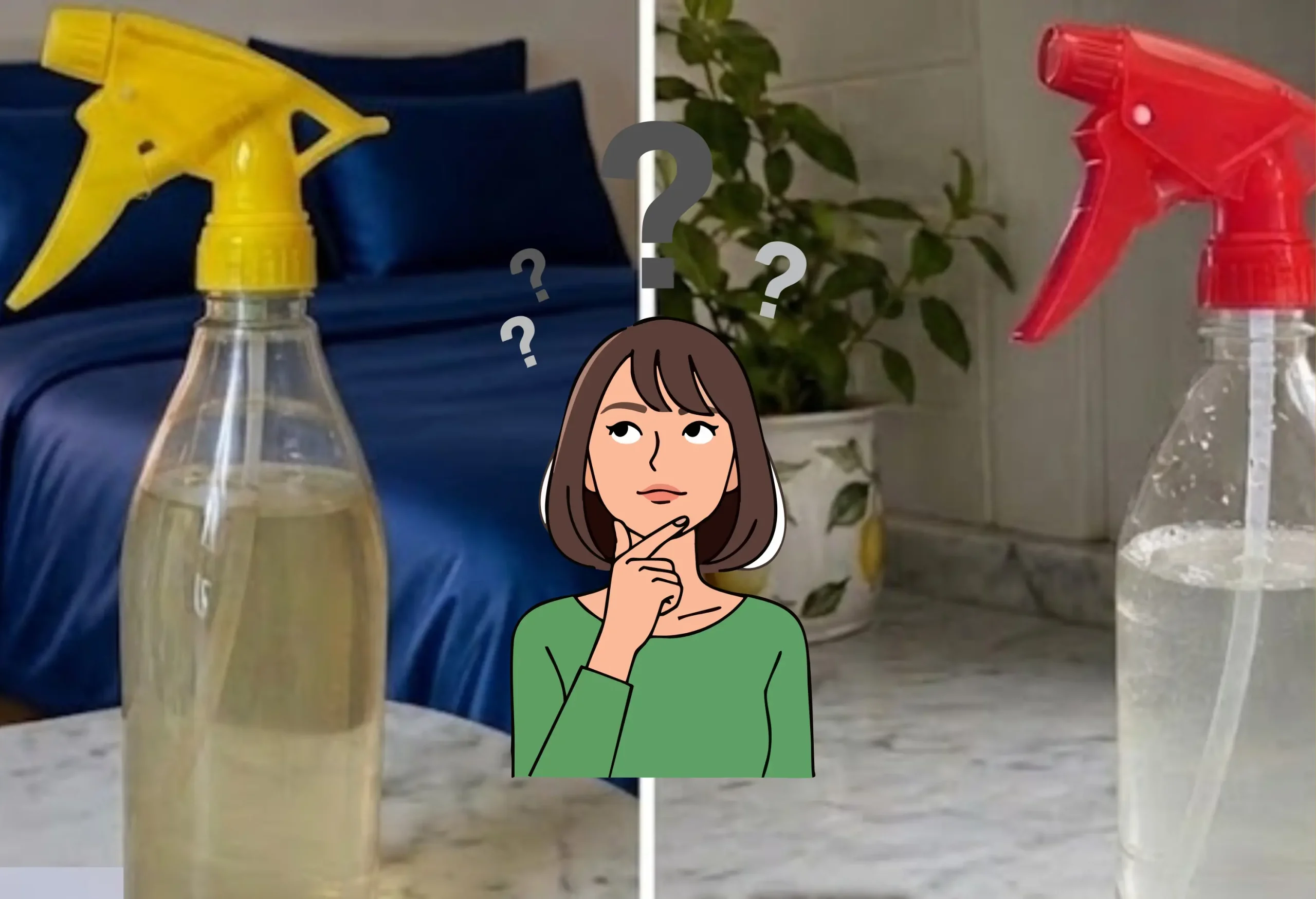 4 Spray Naturali Contro gli Insetti in Casa